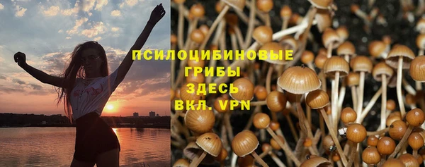 соль курить ск Алексеевка
