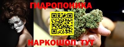 хмурый Малоярославец