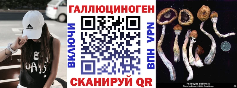 Галлюциногенные грибы MAGIC MUSHROOMS  мориарти наркотические препараты  Томск 